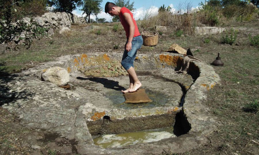 Concorso: i Palmenti Rupestri di Ardauli