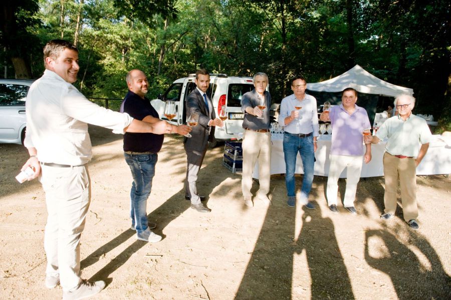 Difesa integrata dei vigneti alla Giornata della Viticoltura delle Colline Novaresi
