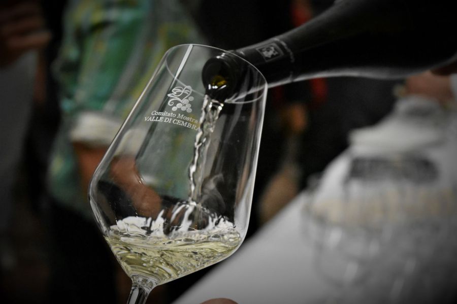 XVII Concorso Internazionale Vini Müller Thurgau