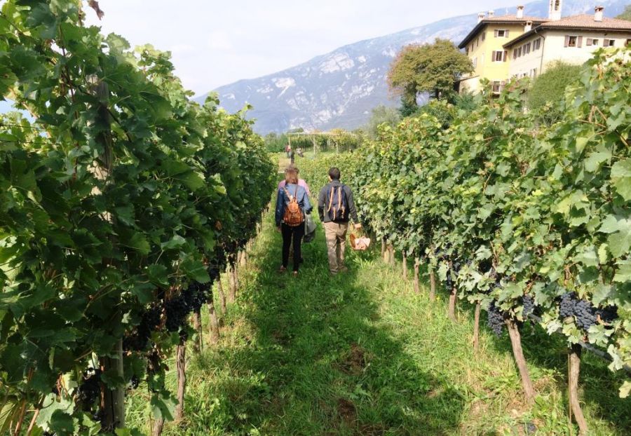 DiVin Ottobre, 5 appuntamenti per il secondo weekend