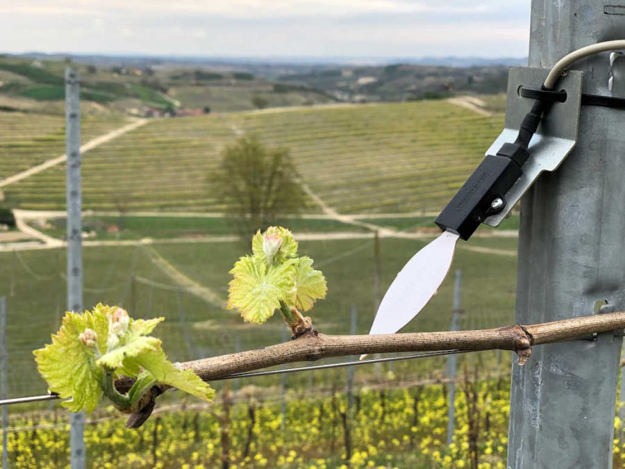 I migliori sistemi di monitoraggio per l'agricoltura di precisione