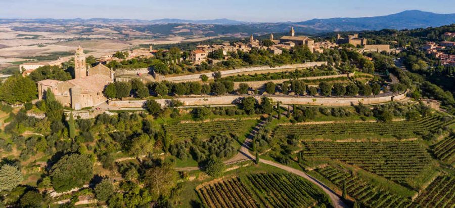 2020: mercato, enoturismo e vendemmia