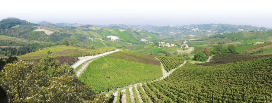 Solo Pinot Nero e Riesling Renano no limits