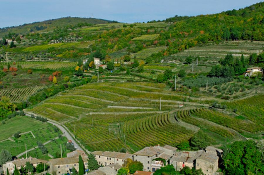 Dl Ristori 2: 340 mln per filiere agricole