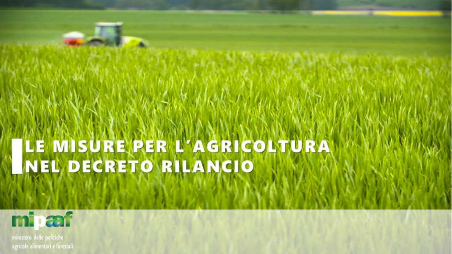 Le misure per l'agricoltura nel Decreto Rilancio
