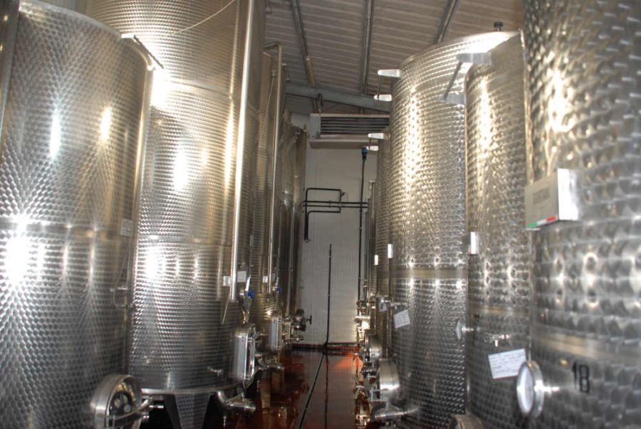 La vendemmia chicco per chicco