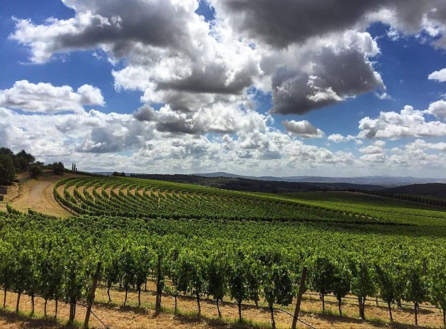 Città del Vino al tavolo del Mipaaf per l'enoturismo