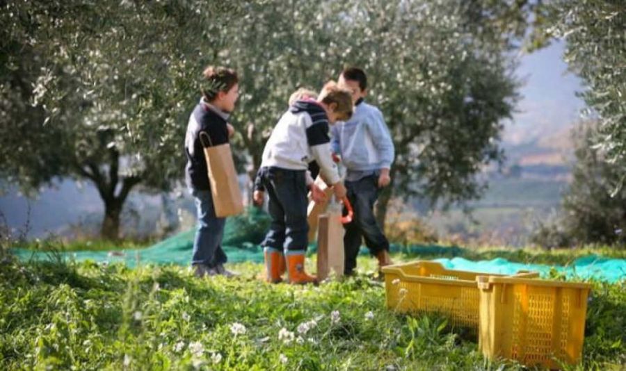 L’Italia del Turismo dell’Olio si mette in gioco