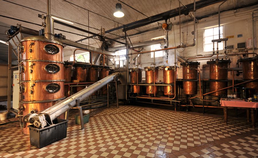 Svolta green per le distillerie