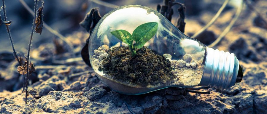Boom di prodotti BIO sulla tavola