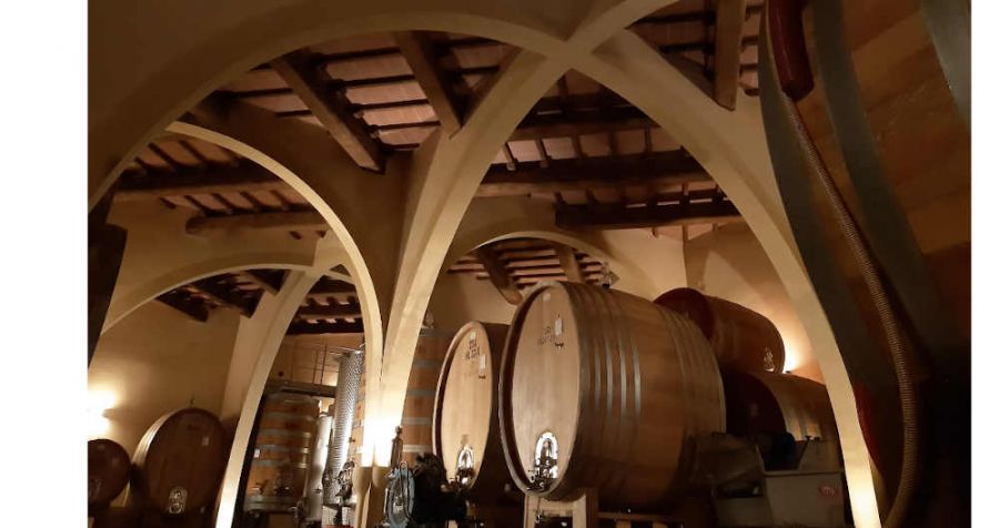 La bioarchitettura in cantina