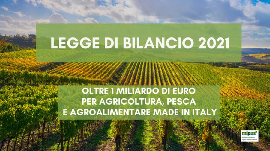 Oltre 1mld per filiere agricole e investimenti infrastrutturali