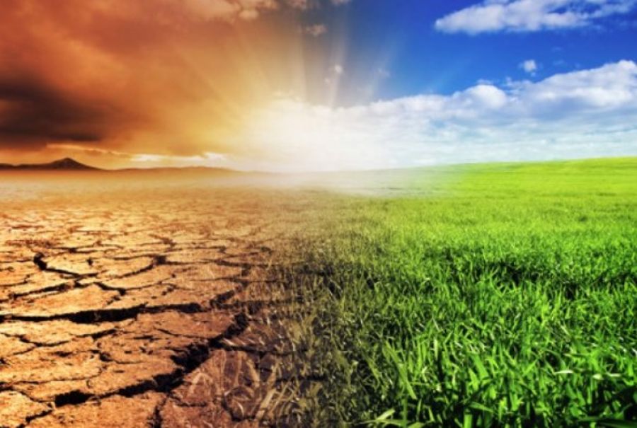 LIFE ADA (ADaptation in Agricolture)