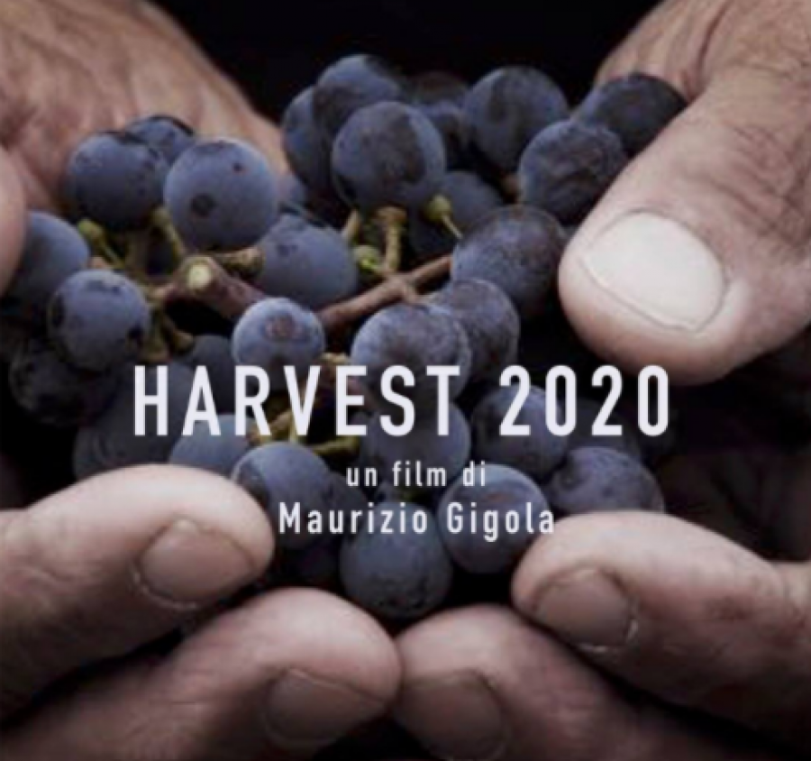 Harvest 2020