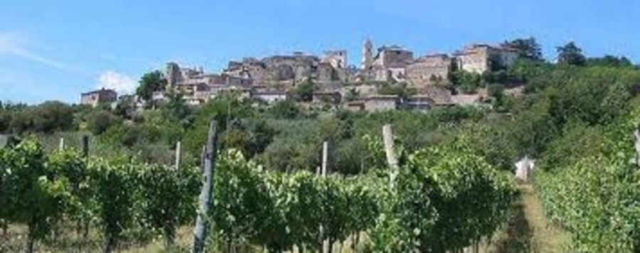 Auguri all’Orvieto Doc