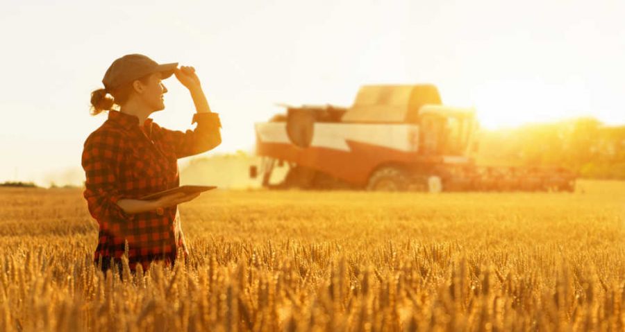 2mld e semplificazioni per l'agroalimentare