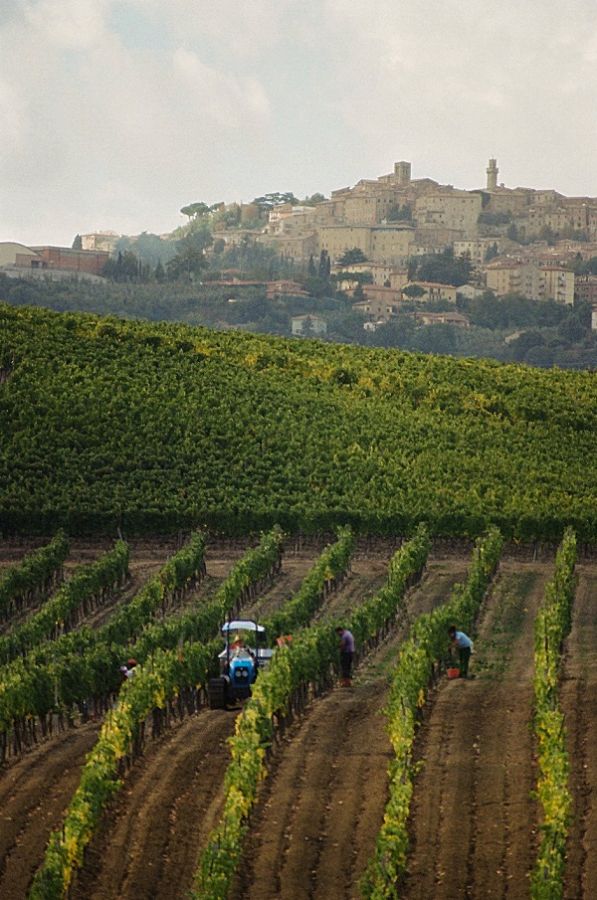 Montepulciano, il territorio iscritto nel Registro dei Paesaggi Rurali Storici
