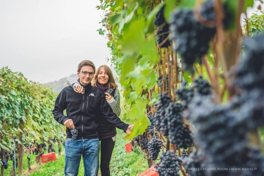 Un territorio straordinario, una storia di vino e amicizia...