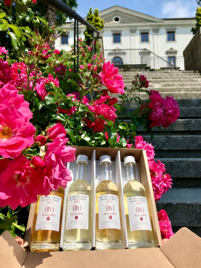 Fiera Regionale dei Vini di Buttrio