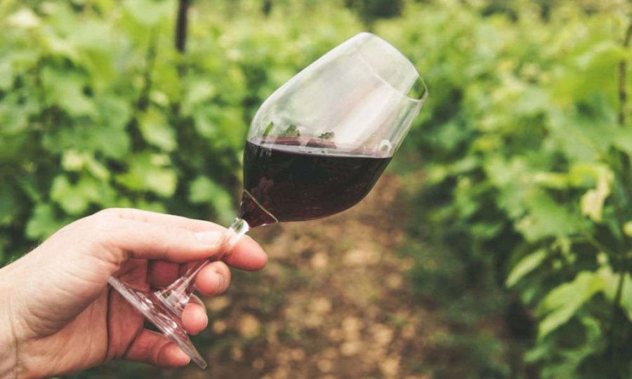 Il mercato del vino nei primi mesi 2021