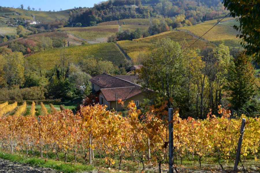 Sostenibilità ambientale e amore per ottimi vini