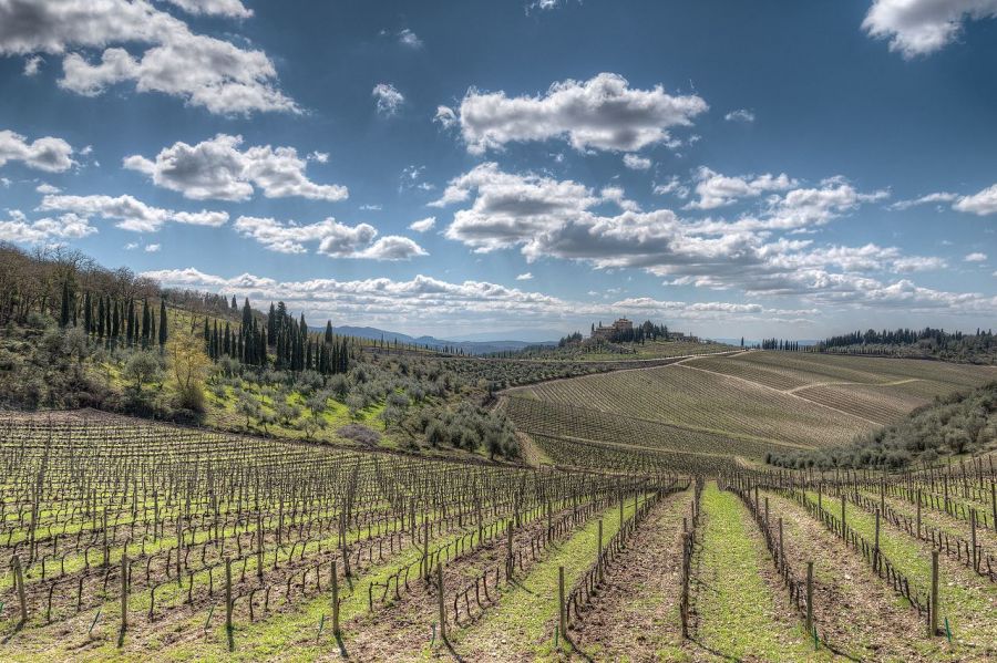 Al via le procedure per la candidatura del Chianti Classico a patrimonio UNESCO