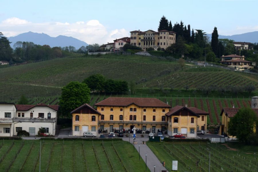 Conegliano: 16 ettari di nuovi terreni per l'Istituto Cerletti
