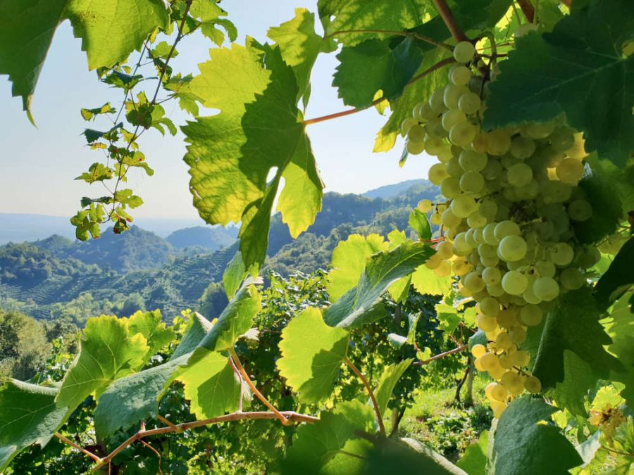 Emozioni di collina