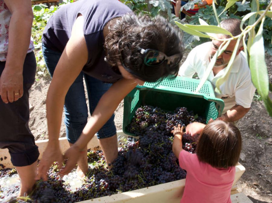 Anche il lavoro più duro va fatto con amore…