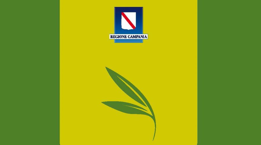Campania: verso l'IGP per l'Olio Extra Vergine di Oliva