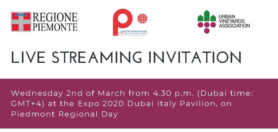 Le Vigne urbane protagoniste a Expo 2020 Dubai