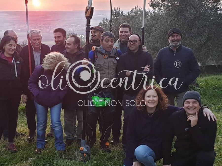 Olio e non solo