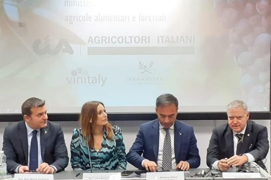 Giornata Nazionale della Cultura del Vino e dell’Olio