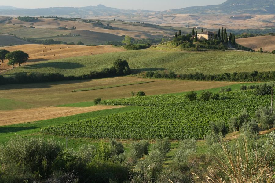 Dal 23 al 26 aprile in Val d’Orcia è tempo di Orcia Wine Festival