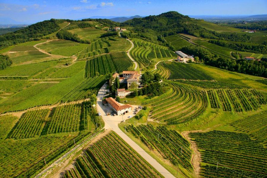Xtrawine Experience: in viaggio nell’Italia dei vini