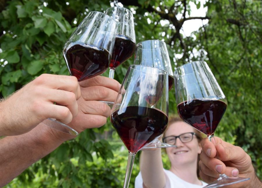 A tutto Teroldego lungo la Strada del Vino