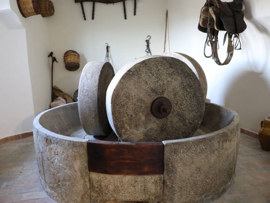 Un progetto integrato tra olio evo, cultura e turismo rurale