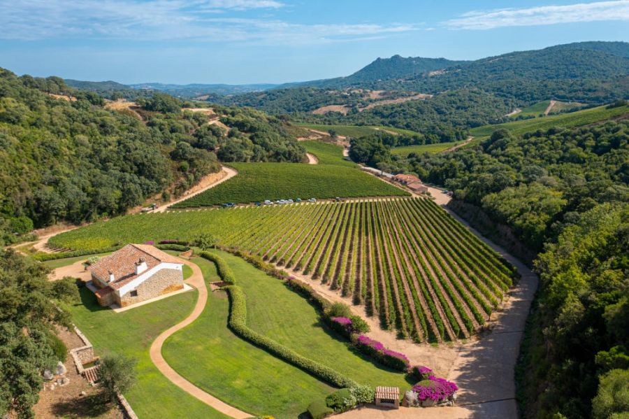 Sardegna in purezza