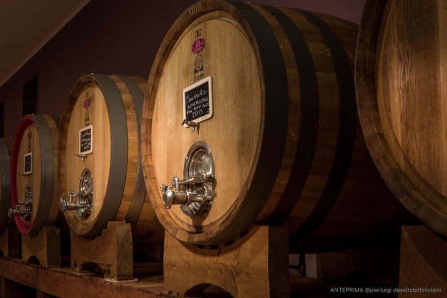 Alla ricerca del vino dei vini