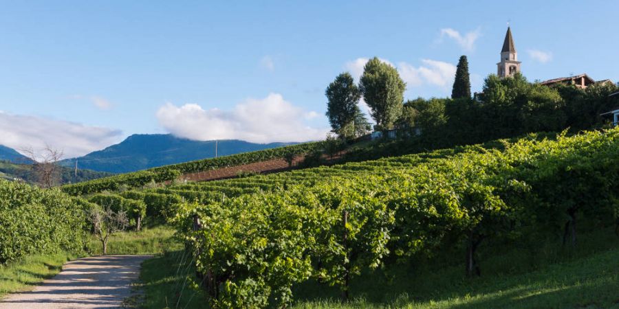 Bollicine che raccontano il territorio