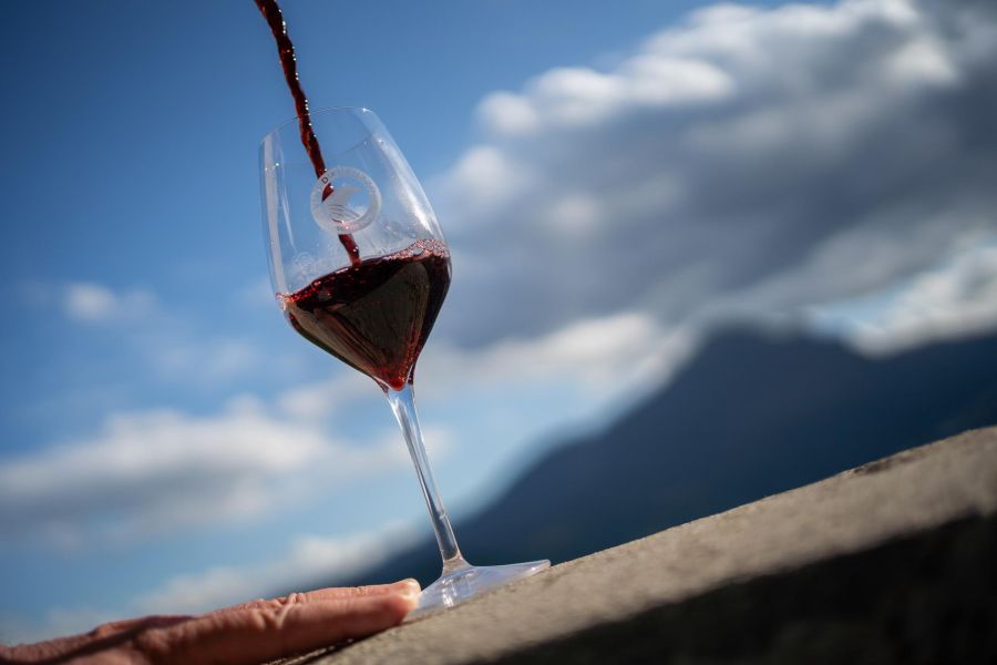 Interventi straordinari per ridurre l’offerta di Montepulciano d’Abruzzo