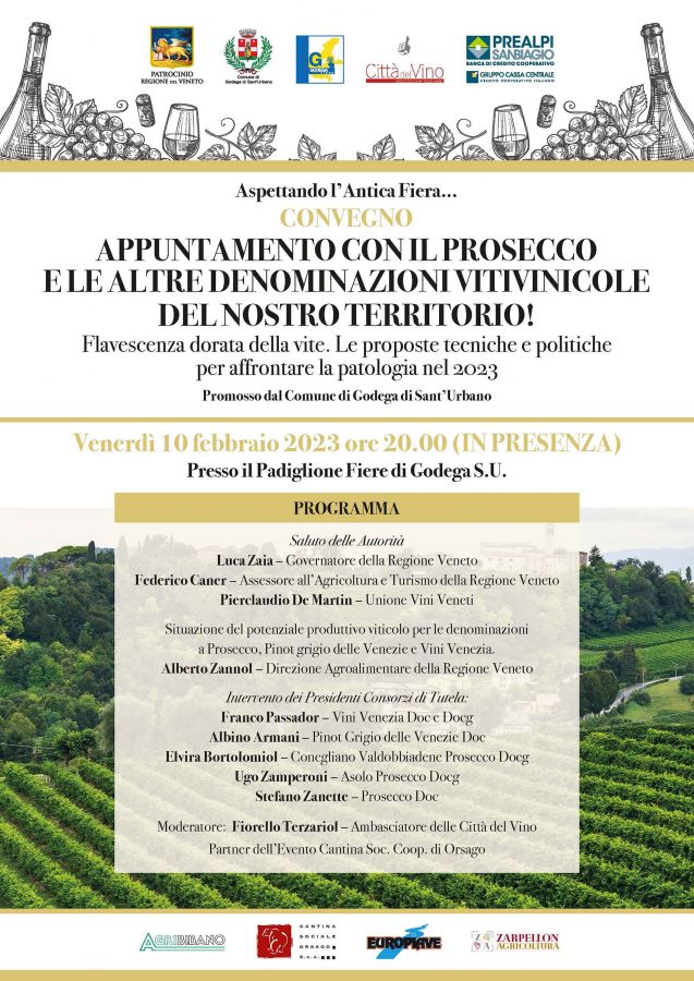 Prosecco e non solo. Flavescenza dorata della vite. Le proposte tecniche e politiche per affrontare la patologia nel 2023
