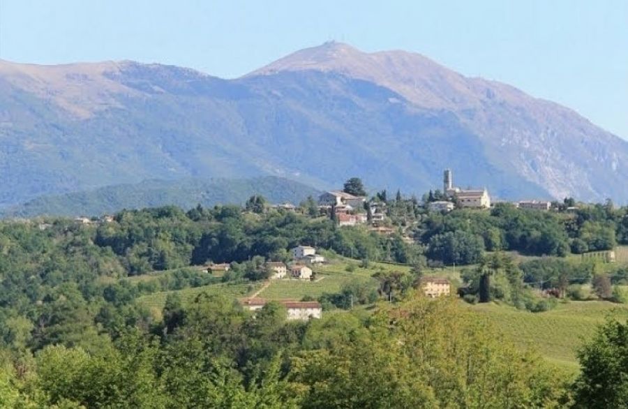 Viticoltura a San Pietro di Feletto: aspetti e problematiche 2023