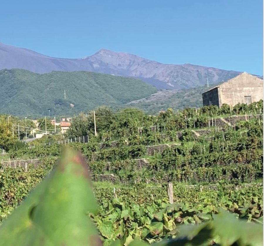 Nel calice l’epicità dell’Etna