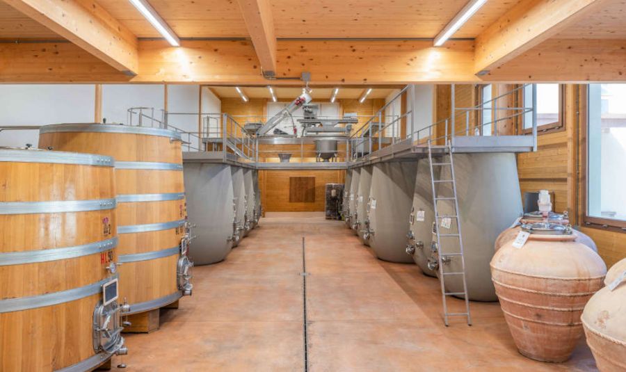 Soluzioni efficienti ed ecosostenibili per cantine orientate al futuro