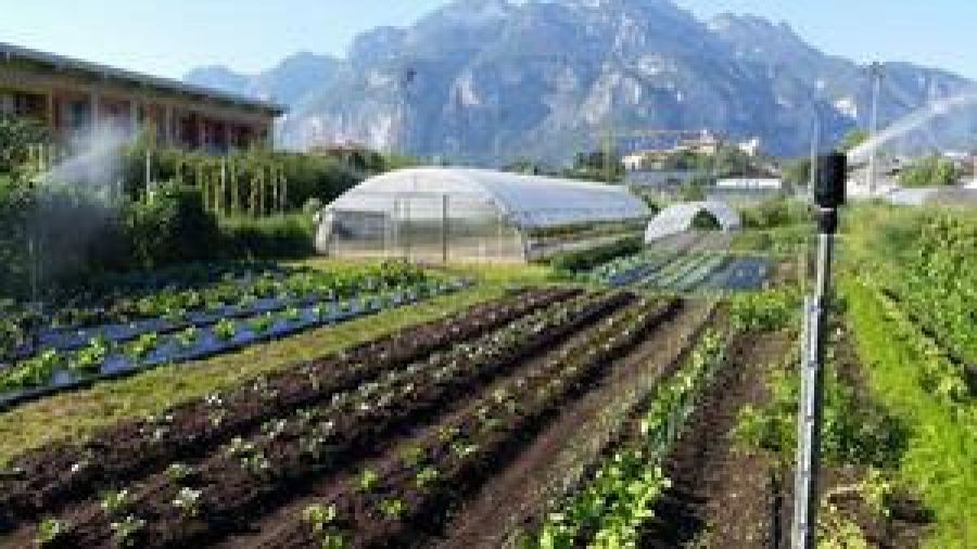 Giornata della biodiversità di interesse agrario e alimentare