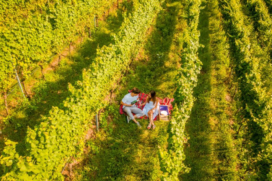 Gemme di gusto, gli appuntamenti del weekend in arrivo