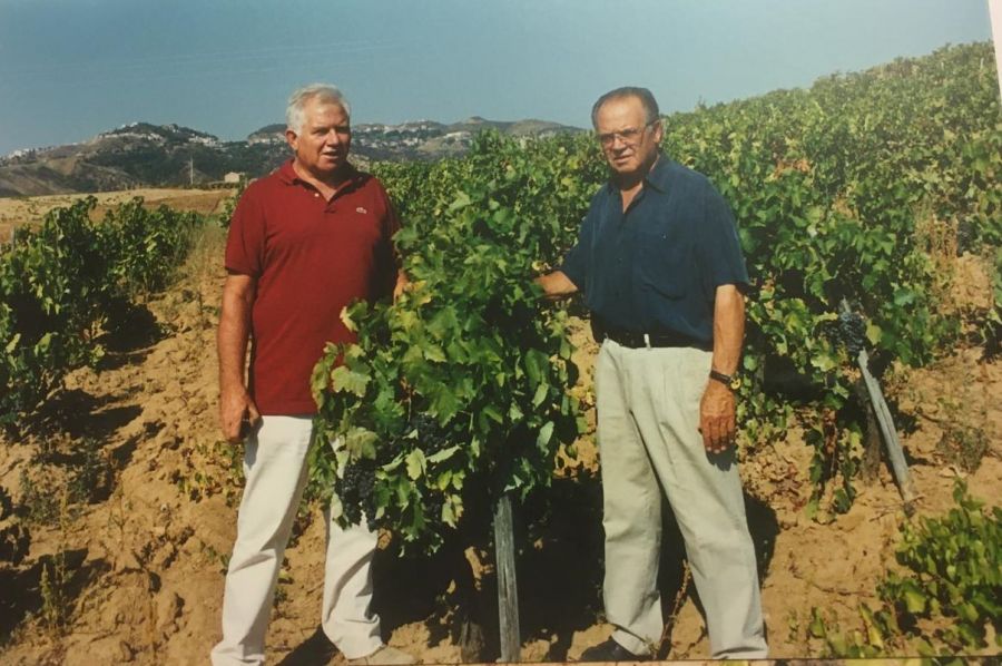 A Nicodemo Librandi il Dottorato di ricerca Honoris Causa dell’Università Mediterranea di Reggio Calabria, in Scienze Agrarie, Alimentari e Forestali