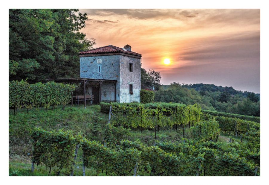 L’Oro rosso del Vulcano. Concerto in vigna