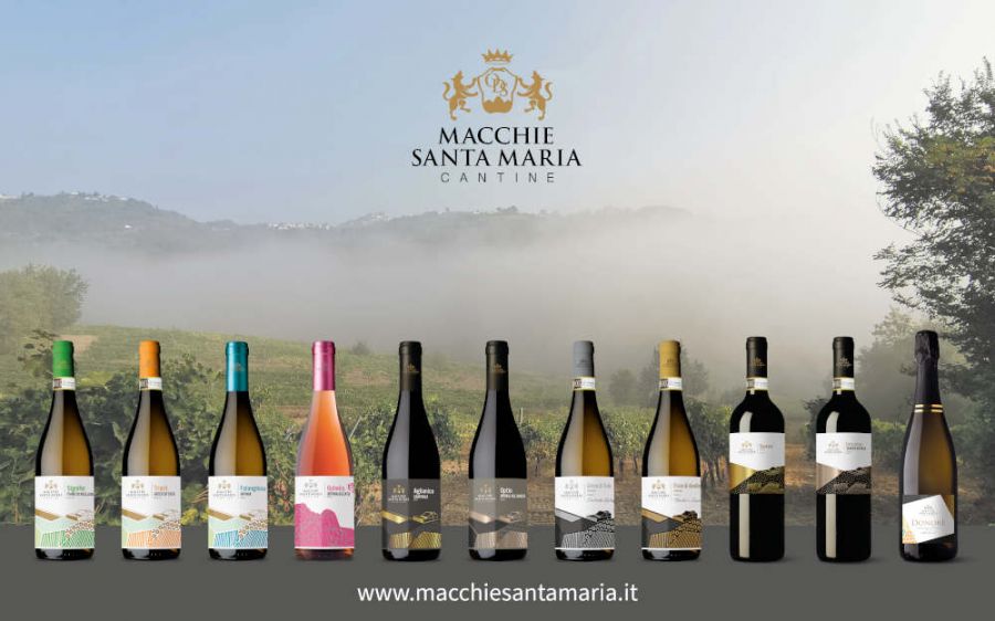 Tra le colline dell'Irpinia, la bellezza dei vini di qualità